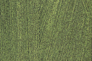 Ковровая плитка Milliken Facet fct 88-141 Forest фото  | FLOORDEALER